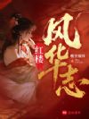 红楼风华志